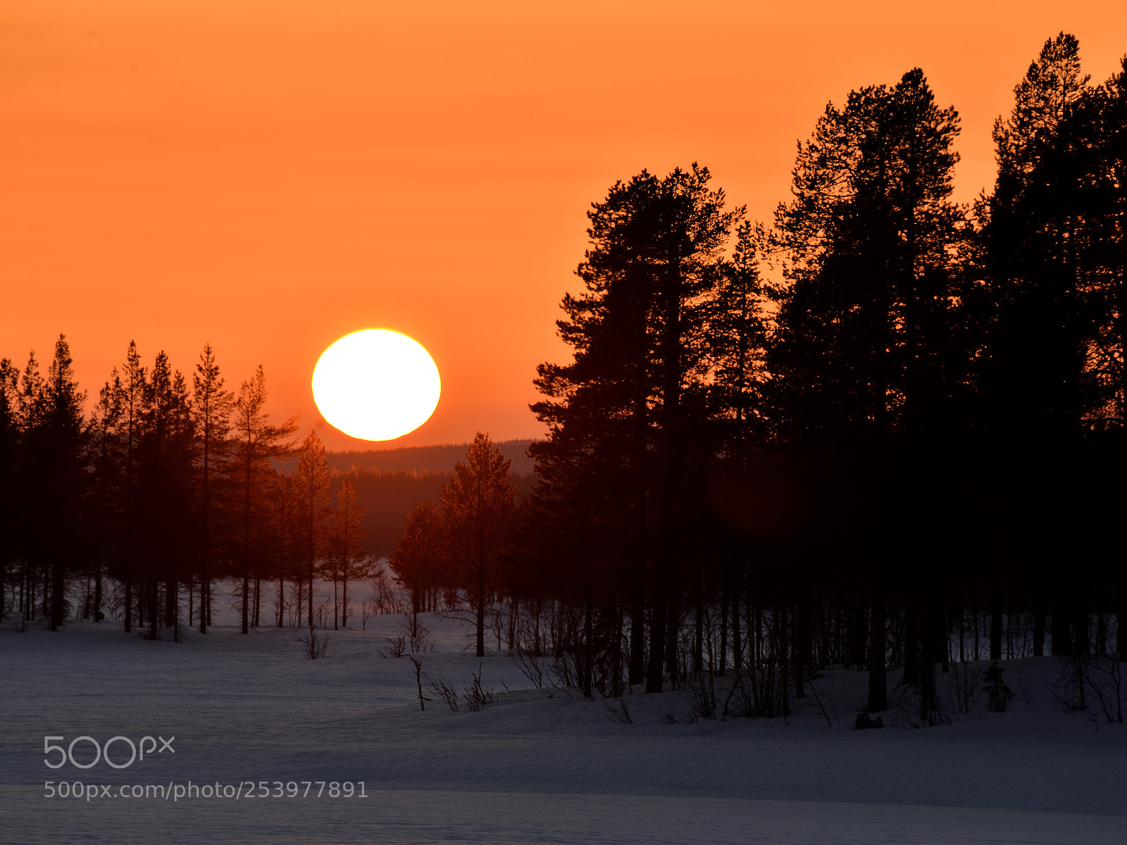 Nikon D610 sample photo. The taiga sunset photography
