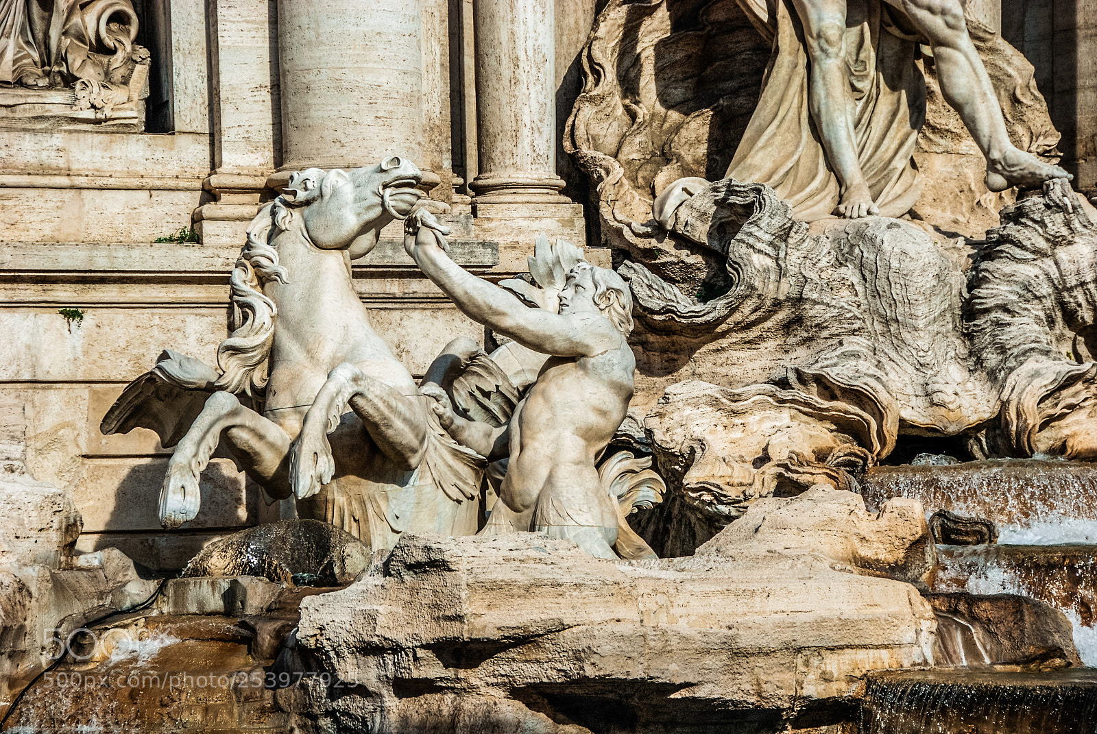 Nikon D80 sample photo. Trevi roma photography