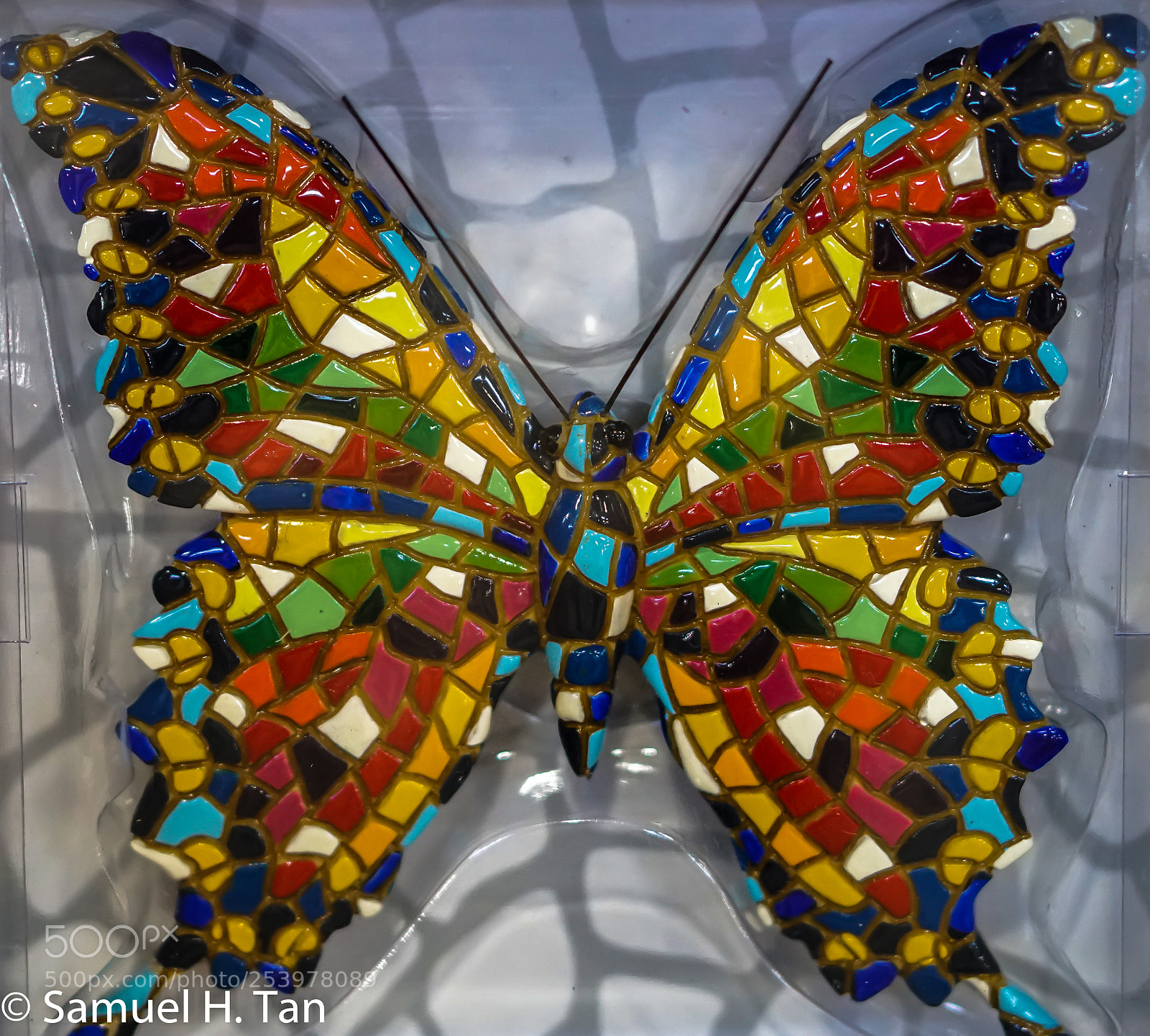 Sony a6500 sample photo. Mosaic butterfly photography