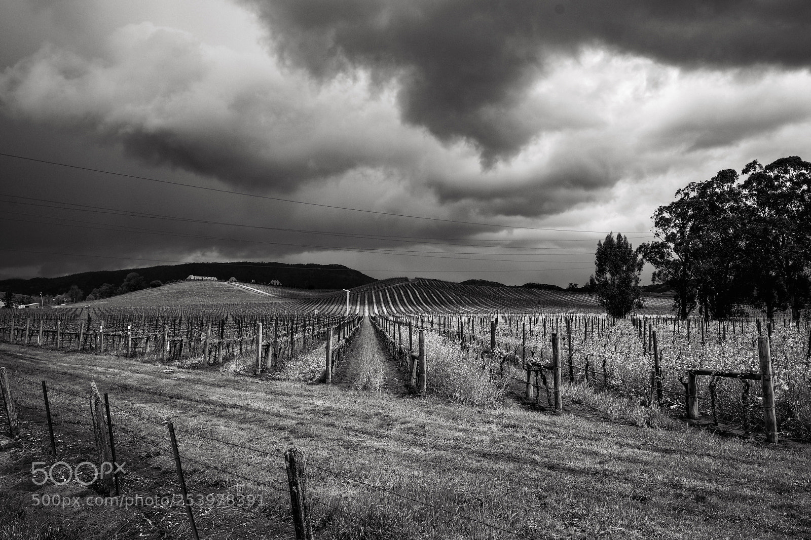 Fujifilm X-T2 sample photo. Storm shadows on the photography
