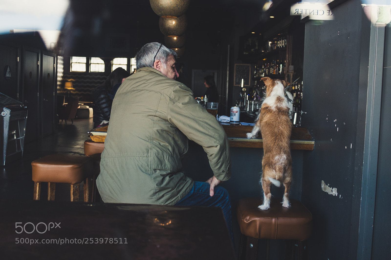 Fujifilm X-T2 sample photo. Mans best friend photography