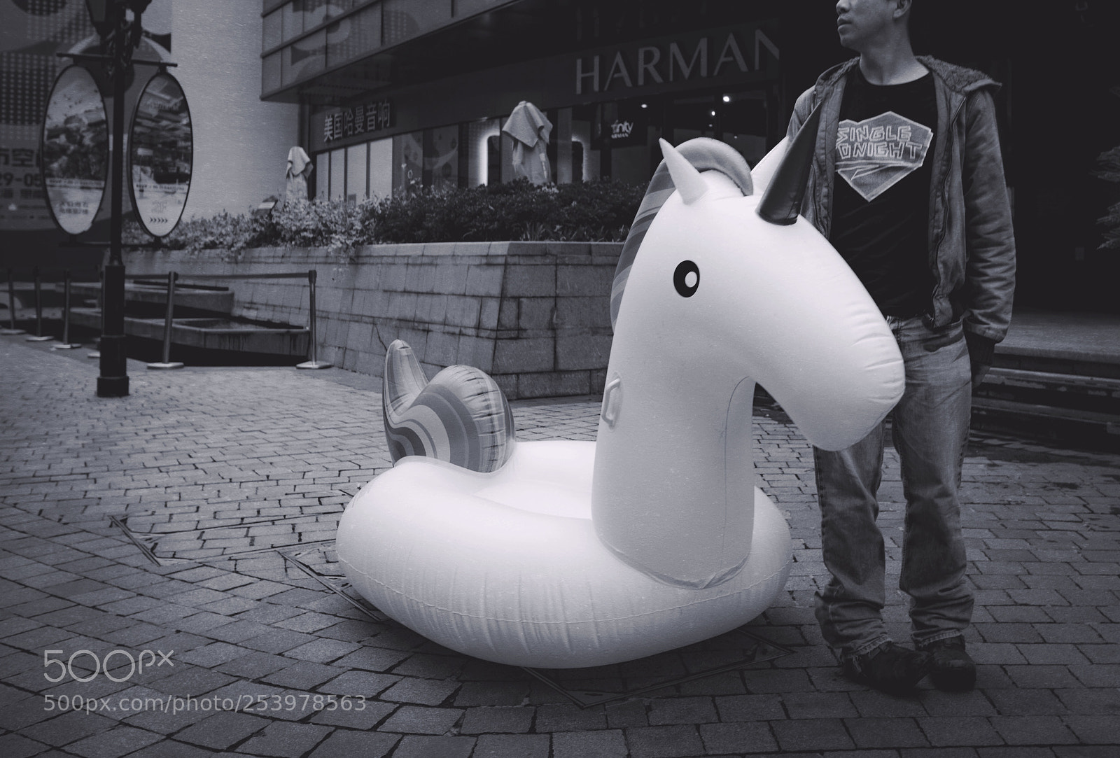 Panasonic Lumix DMC-GX8 sample photo. Unicorn photography