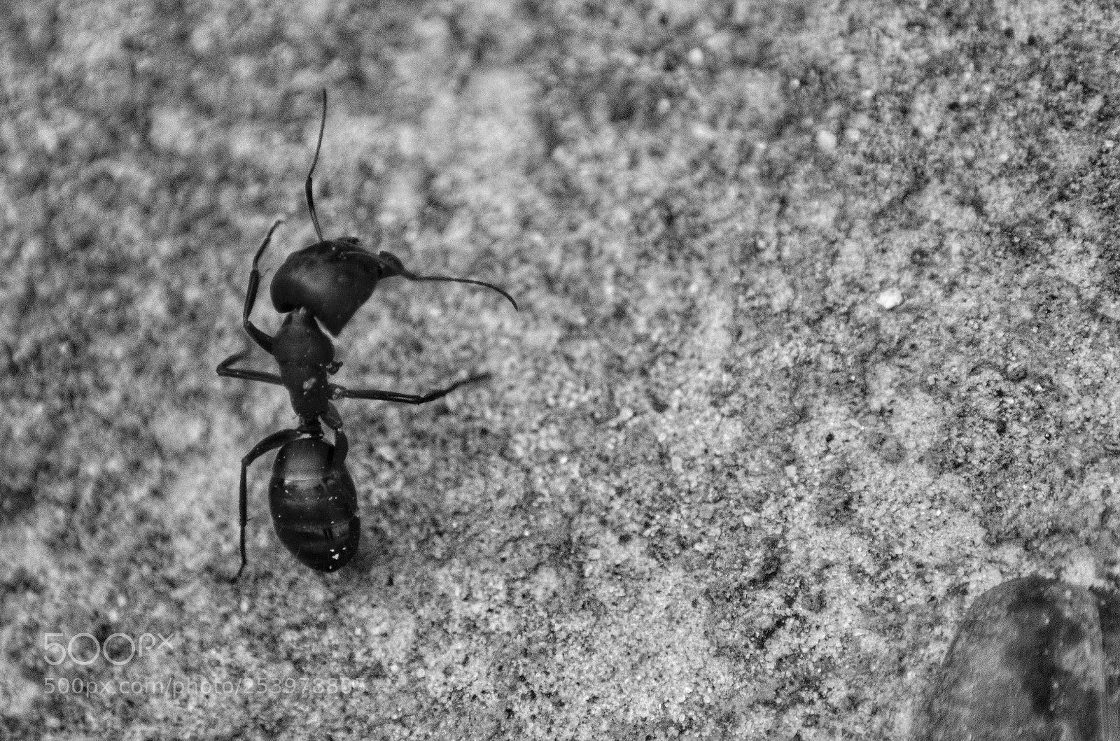 Nikon D5100 sample photo. Untitled photography