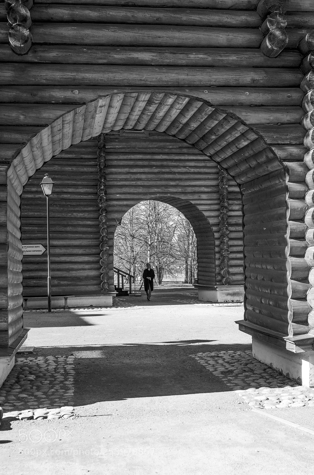 Nikon D7000 sample photo. Untitled photography
