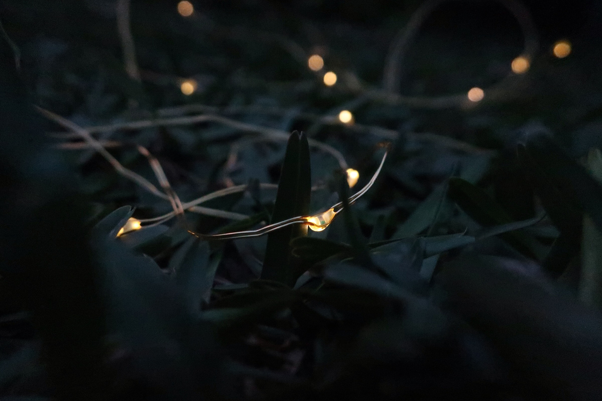 Canon PowerShot G9 X Mark II sample photo. Good night photography