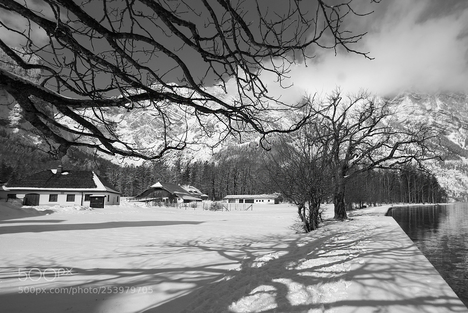 Canon EOS 450D (EOS Rebel XSi / EOS Kiss X2) sample photo. Black and white morning photography