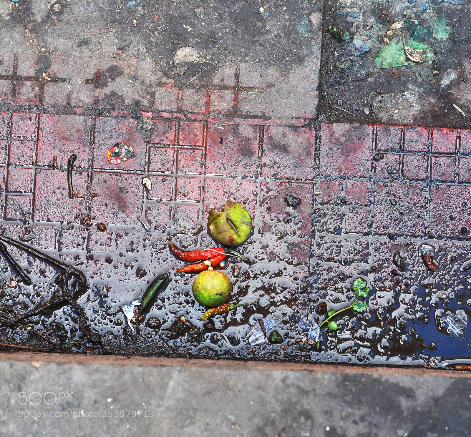Nikon D90 sample photo. Untitled photography