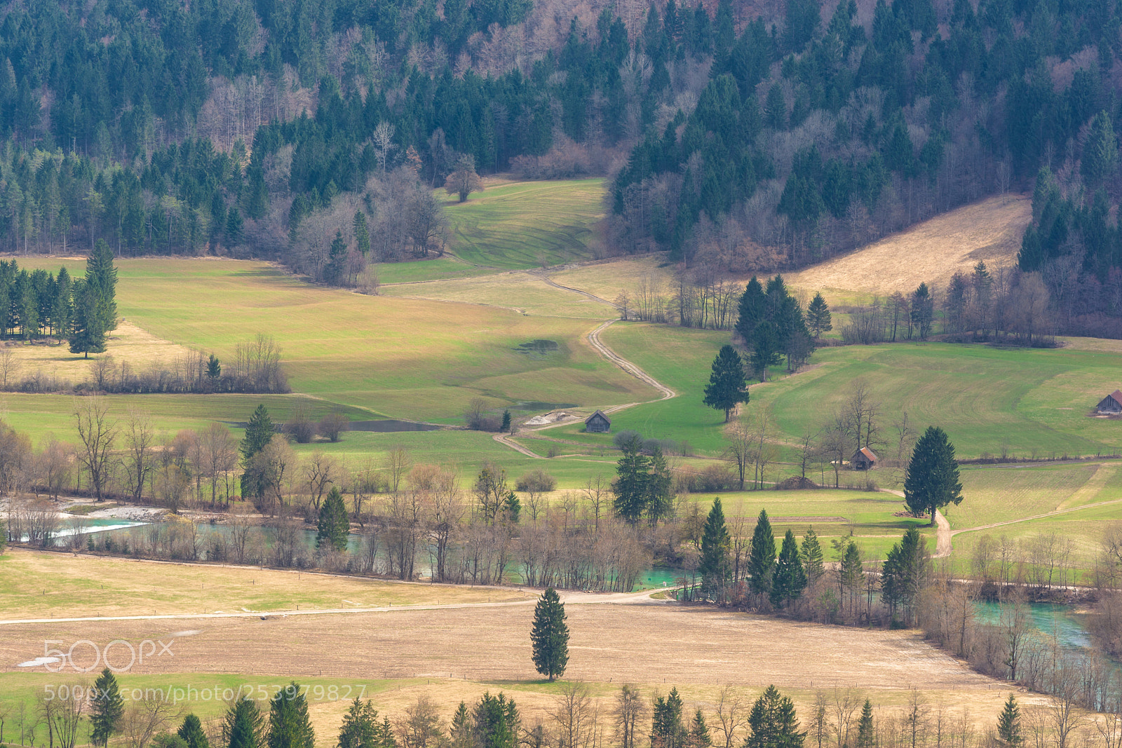 Nikon D7100 sample photo. Spring fields photography