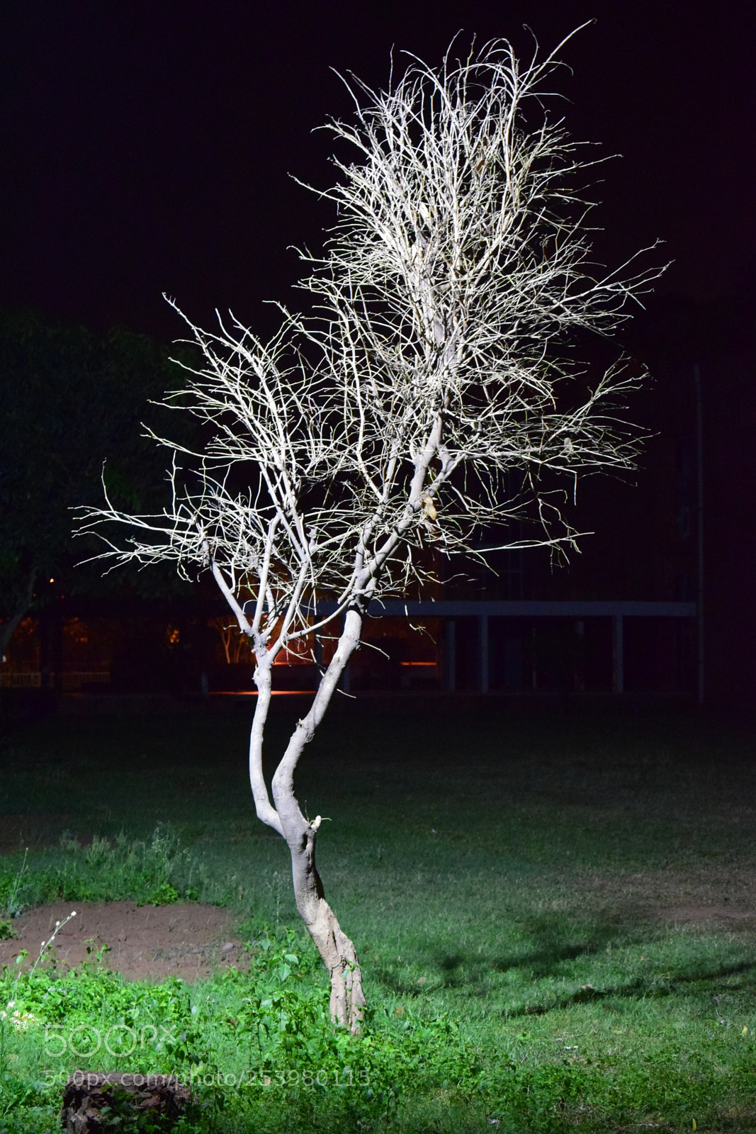 Nikon D5300 sample photo. Untitled photography