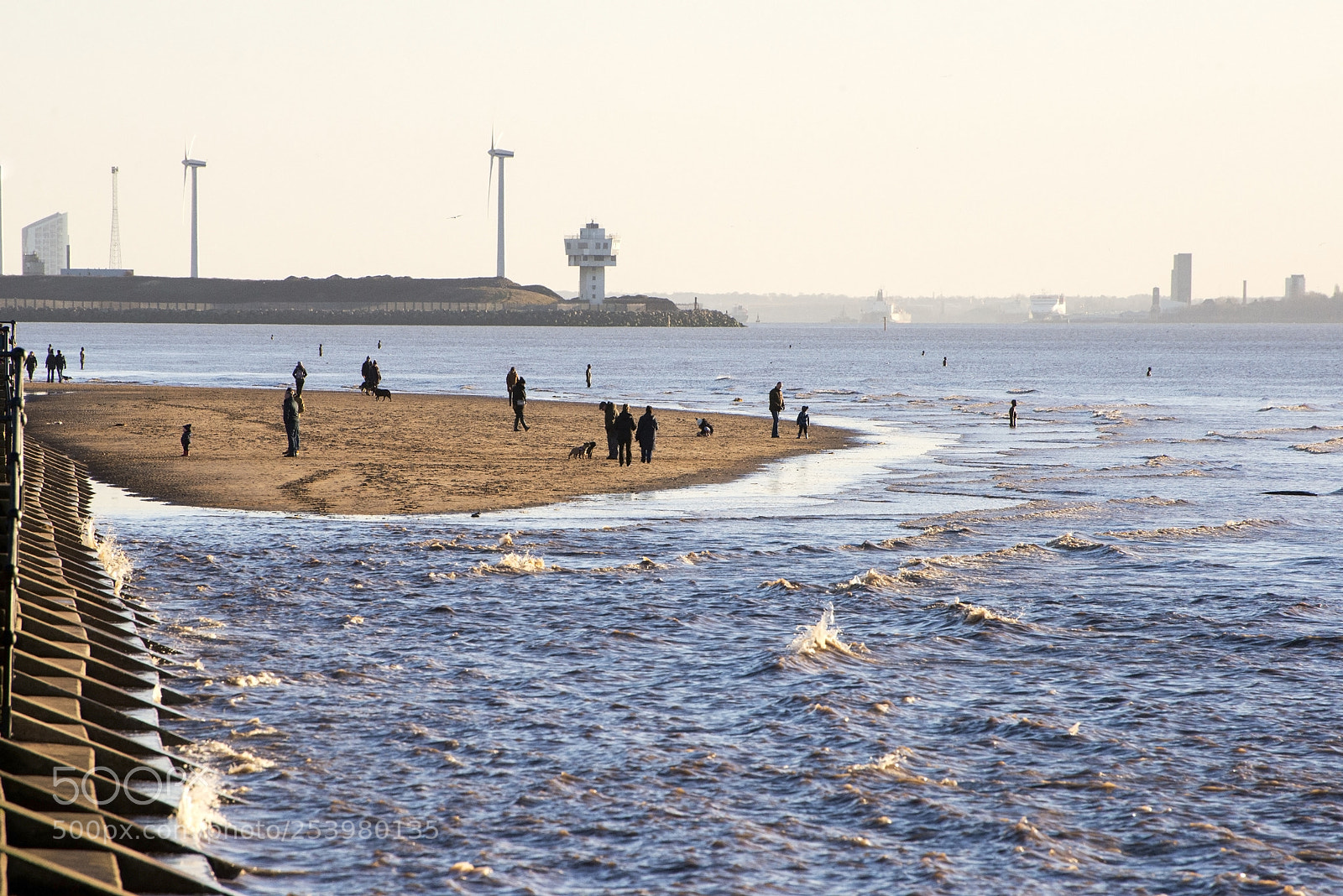 Nikon D600 sample photo. On the seabed (1) photography