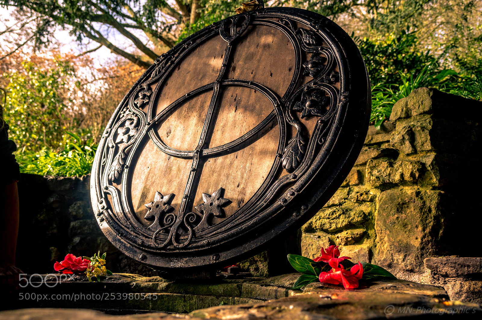 Sony SLT-A58 sample photo. Chalice well photography