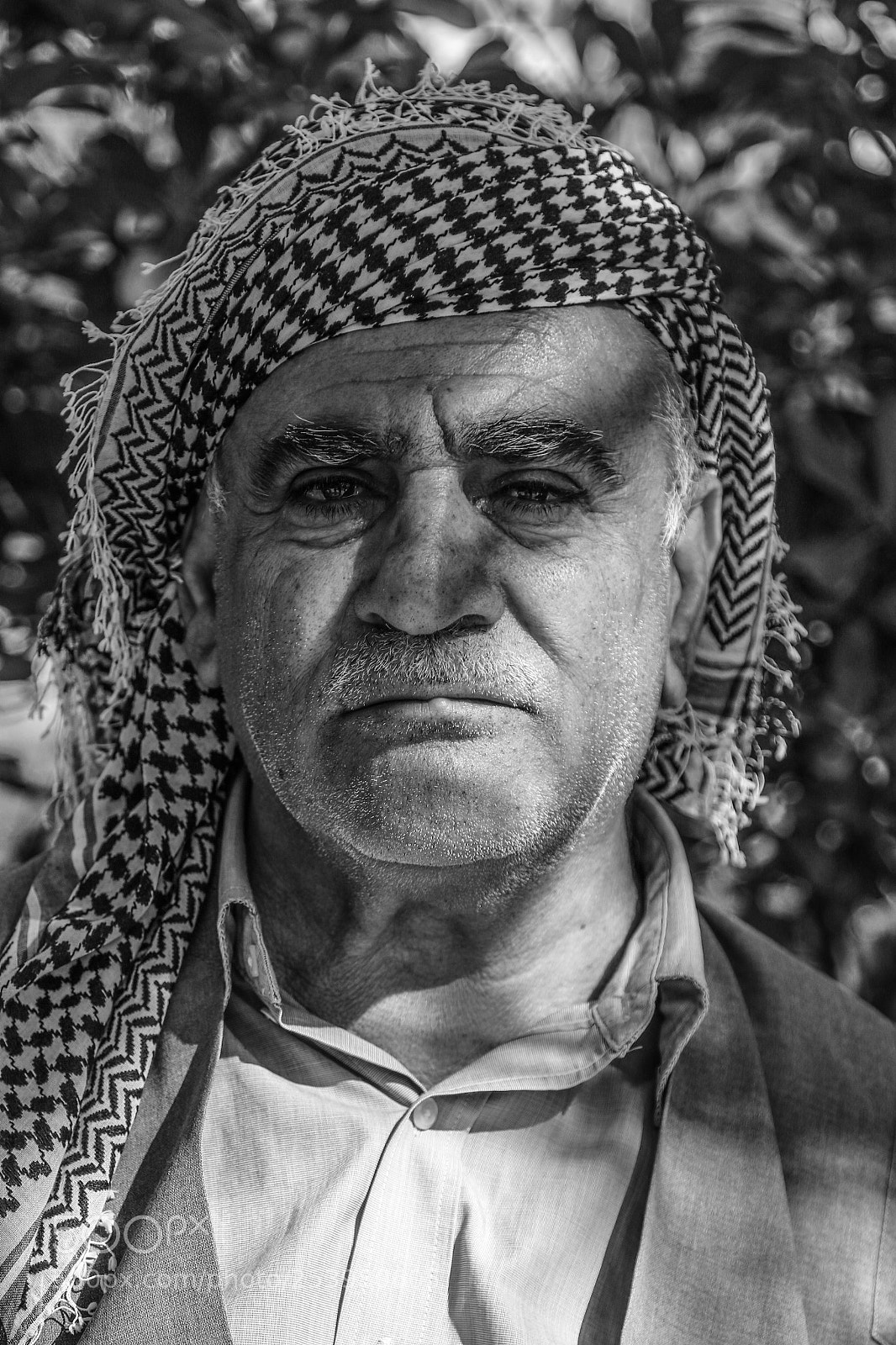 Canon EOS 7D Mark II sample photo. Untitled photography