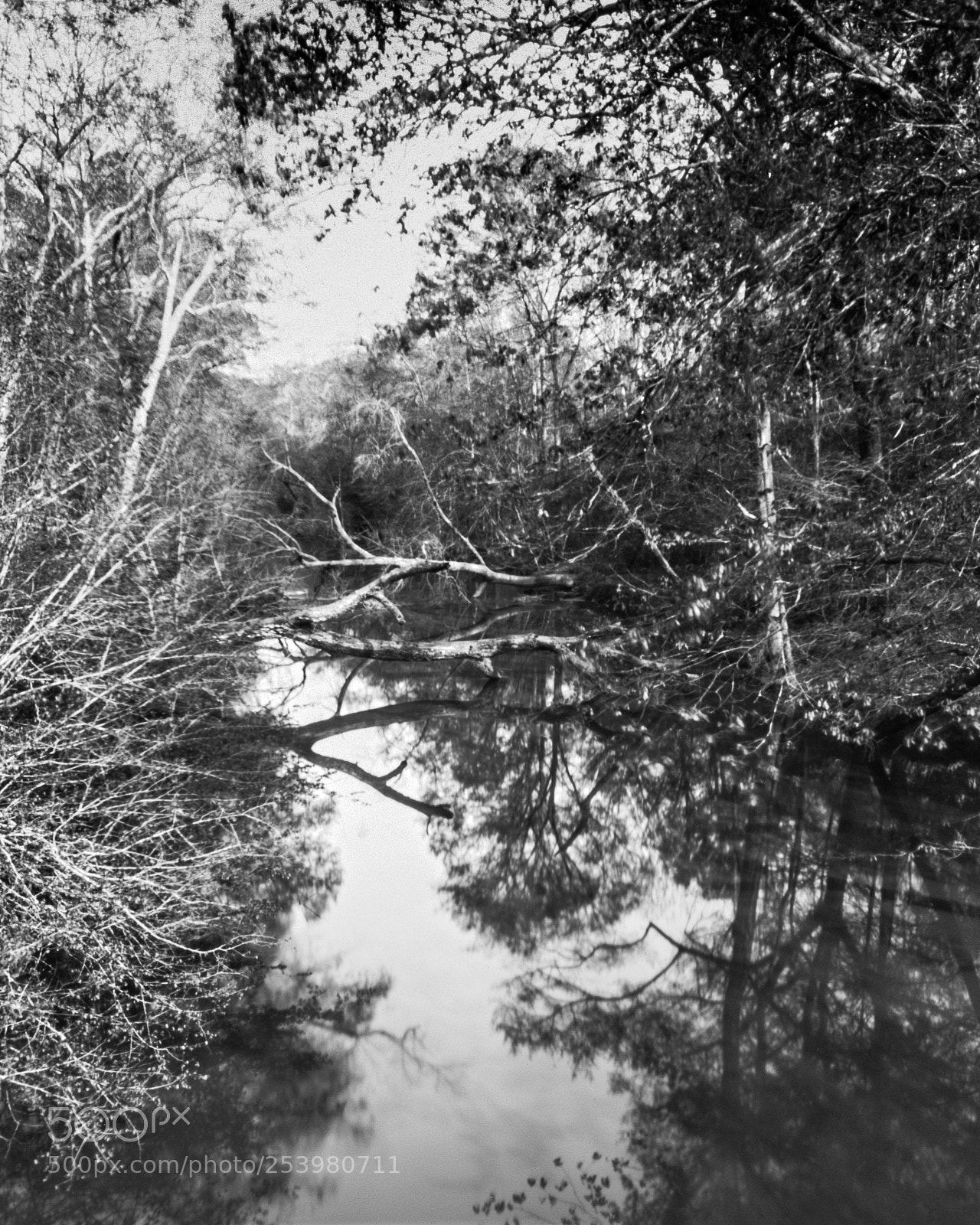 Pentax K-5 sample photo. Apalachee refections photography