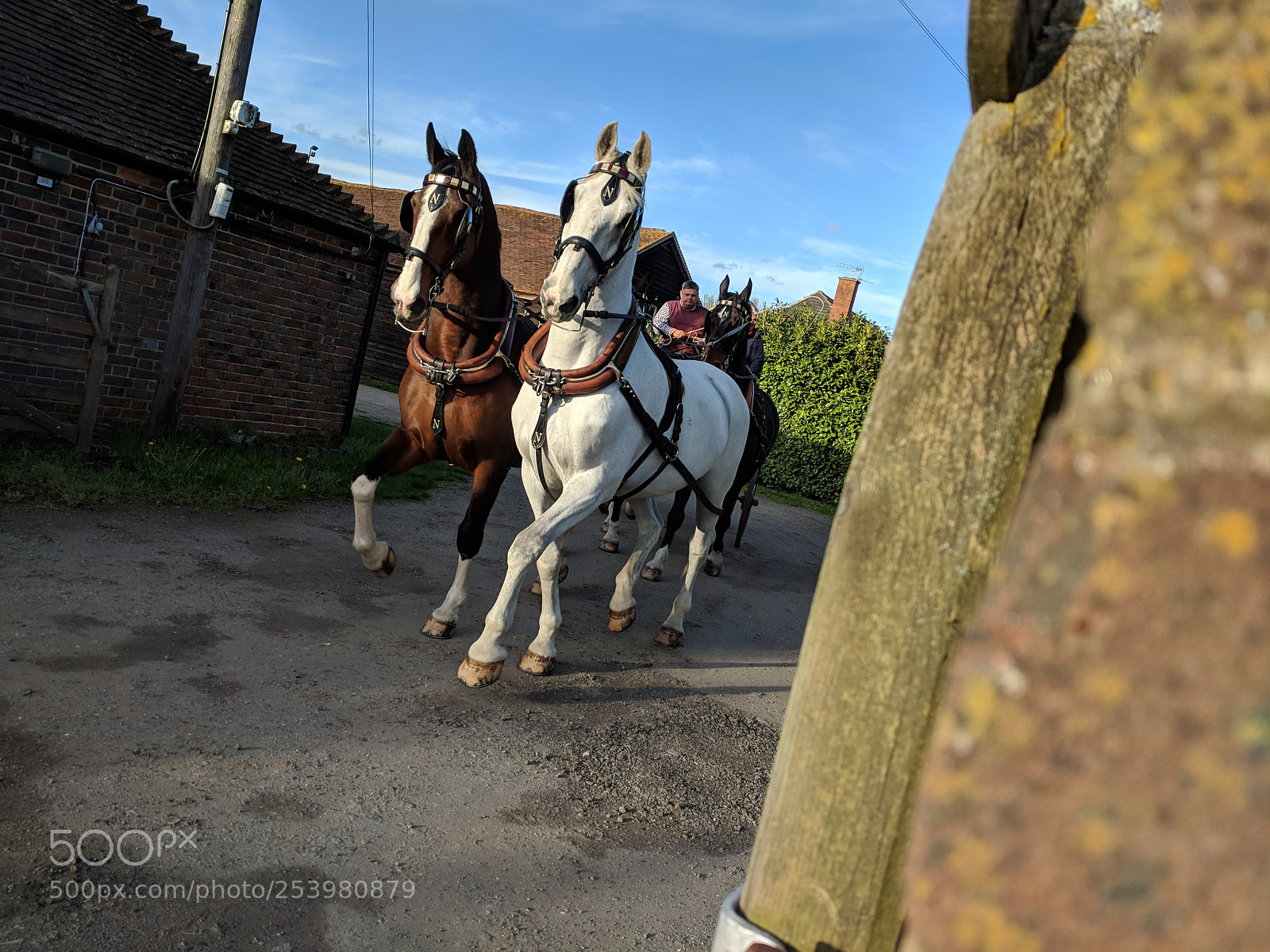 Google Pixel sample photo. Untitled photography