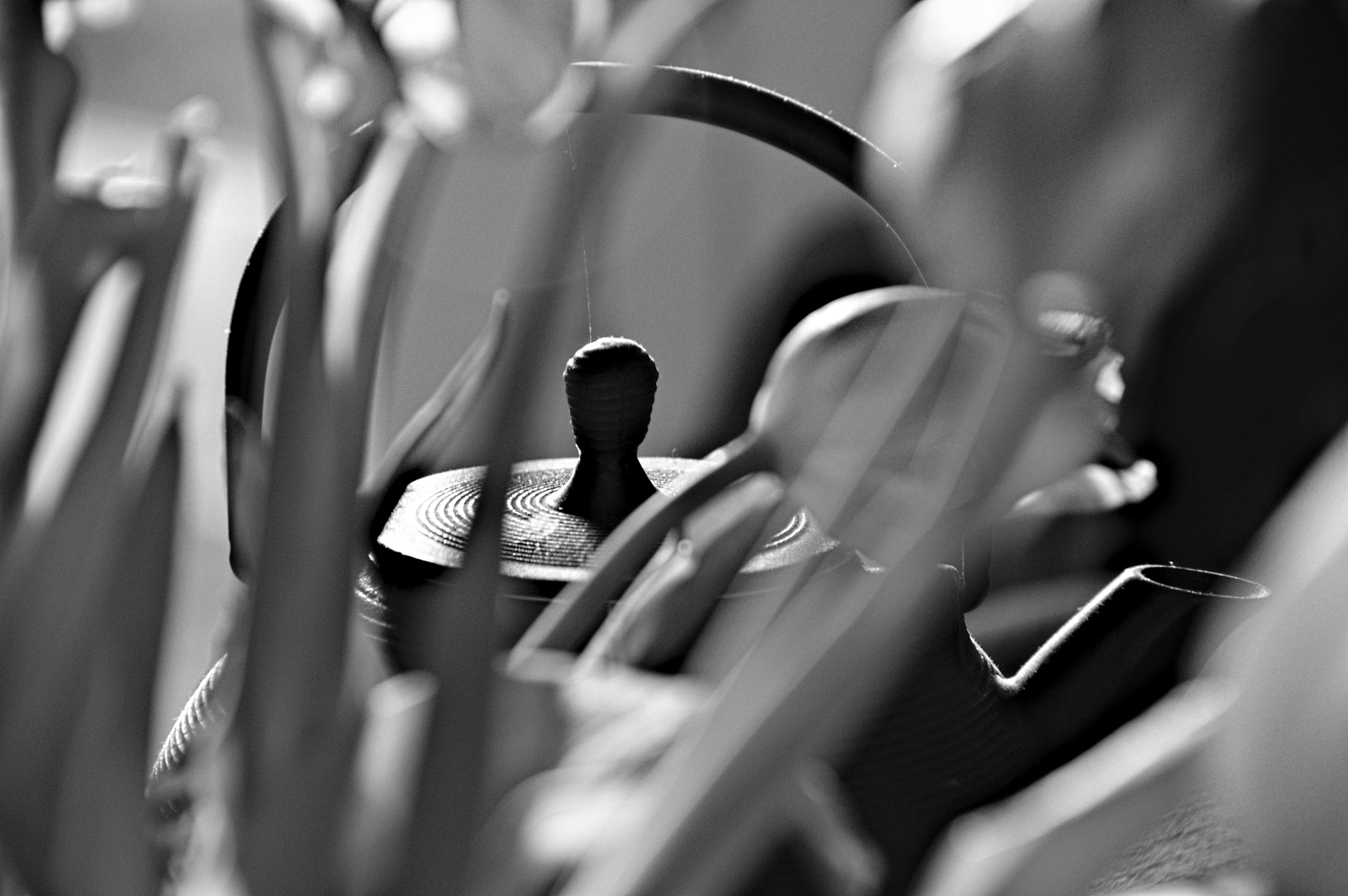 Nikon D90 sample photo. Les t... photography