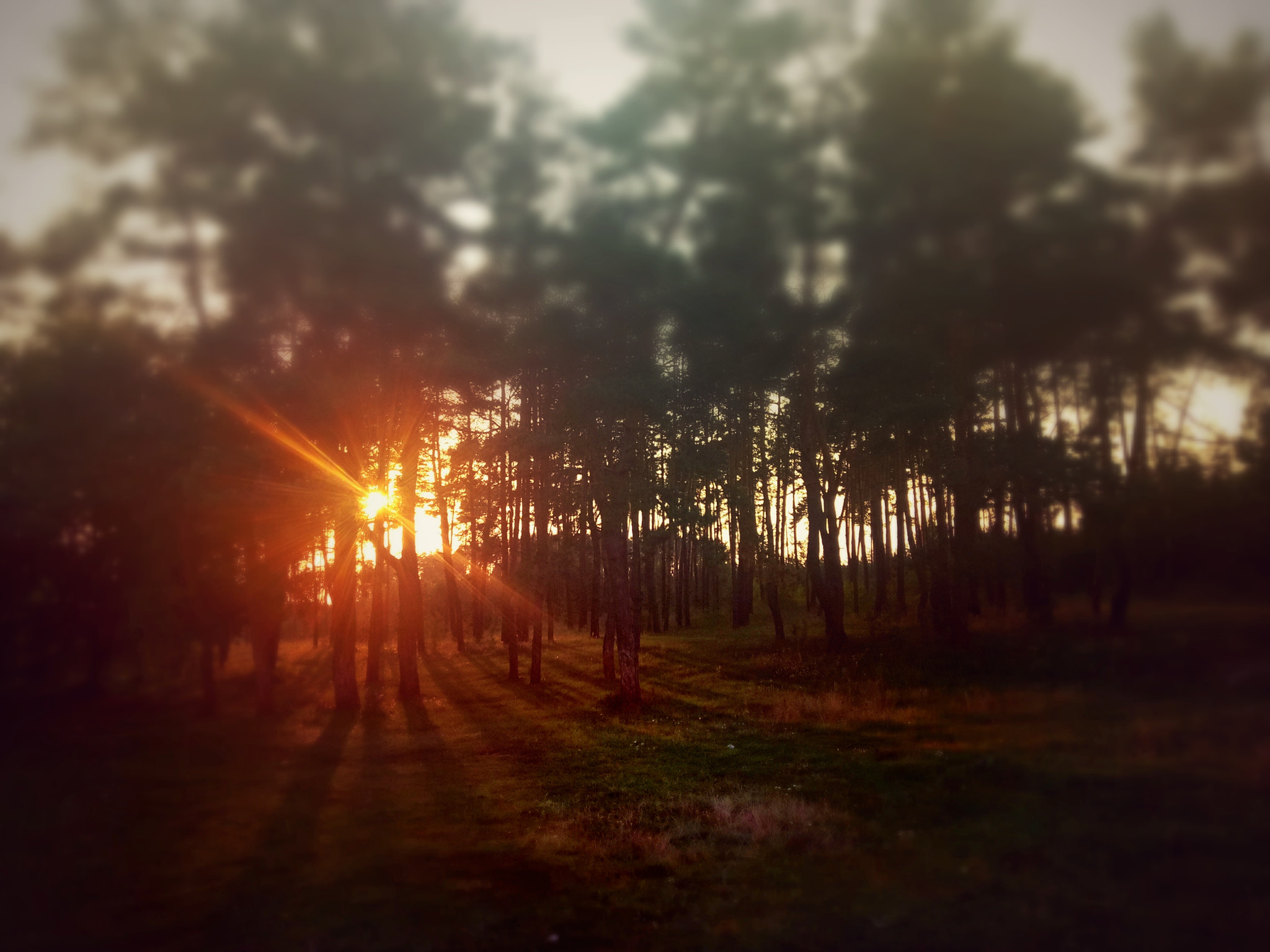 Meizu U20 sample photo