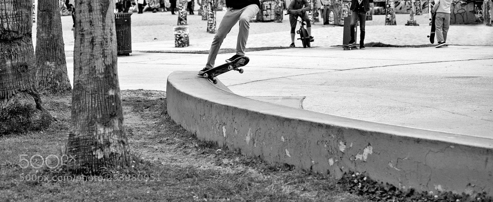 Sony a7 II sample photo. Headless park photography