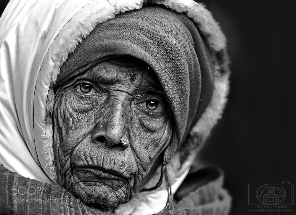 Canon EOS 5D Mark II sample photo. At a glance photography