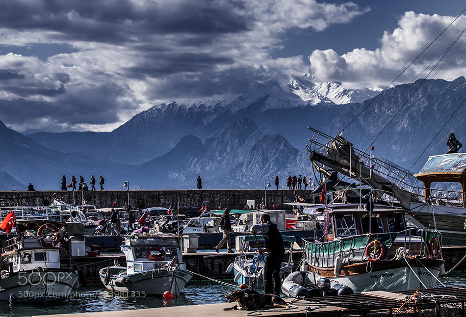 Canon EOS 50D sample photo. Harbor photography