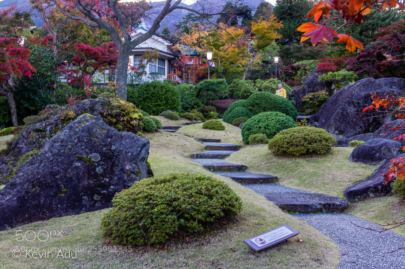 Canon EOS 1200D (EOS Rebel T5 / EOS Kiss X70 / EOS Hi) sample photo. Path into autumn photography