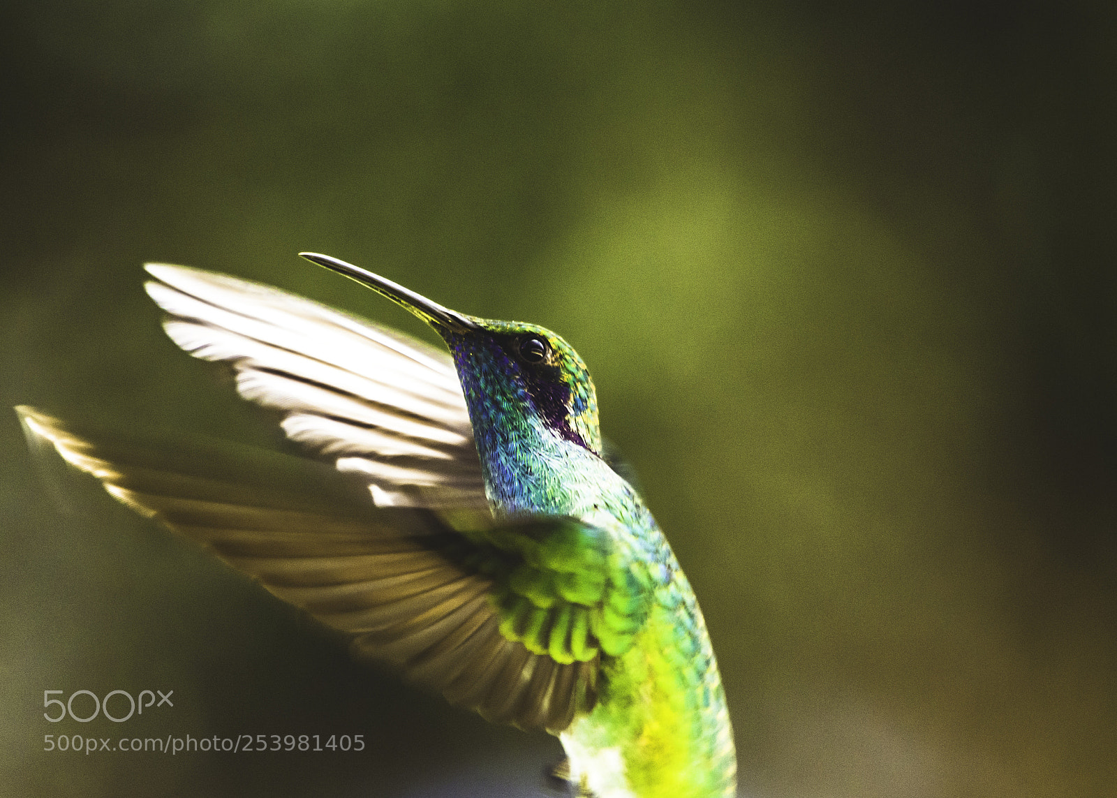 Nikon D7200 sample photo. In flight photography