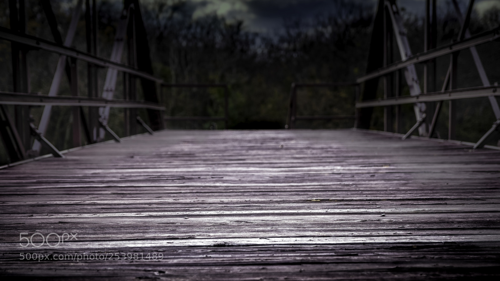 Canon EOS 650D (EOS Rebel T4i / EOS Kiss X6i) sample photo. Wooden walkway photography