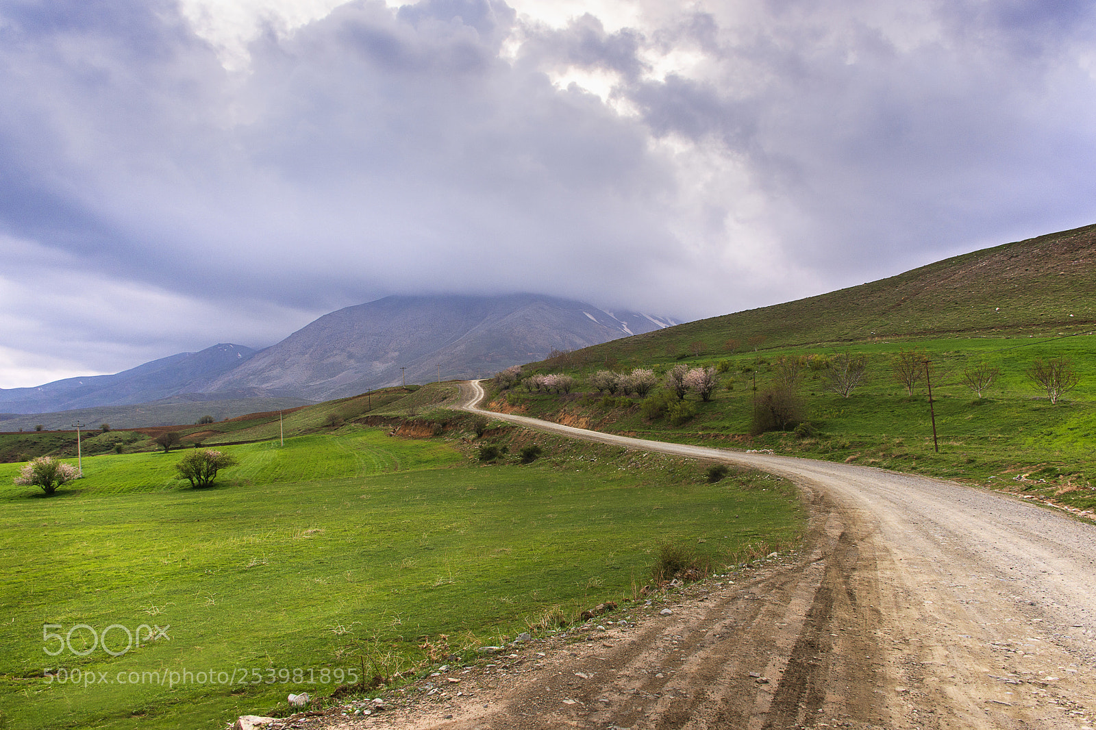 Nikon D7200 sample photo. Road photography