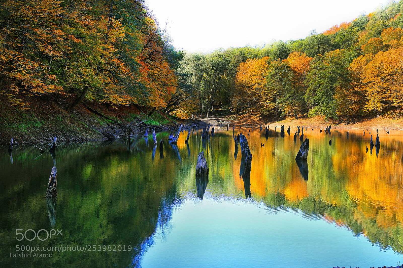 Canon EOS 5DS R sample photo. Untitled photography