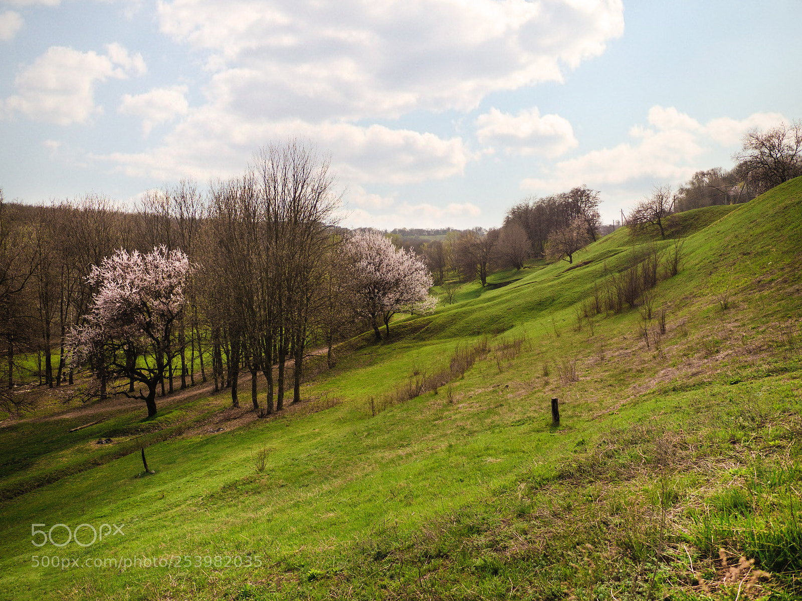 Panasonic Lumix DMC-G6 sample photo. Spring photography