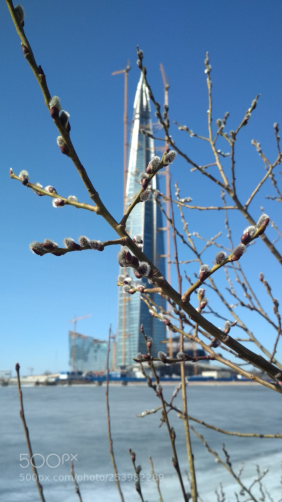 Xiaomi Redmi 4X sample photo. Untitled photography