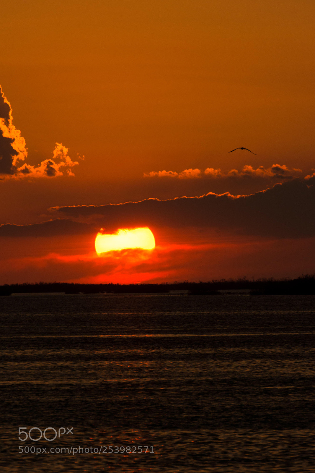 Nikon D7200 sample photo. Red sunset photography