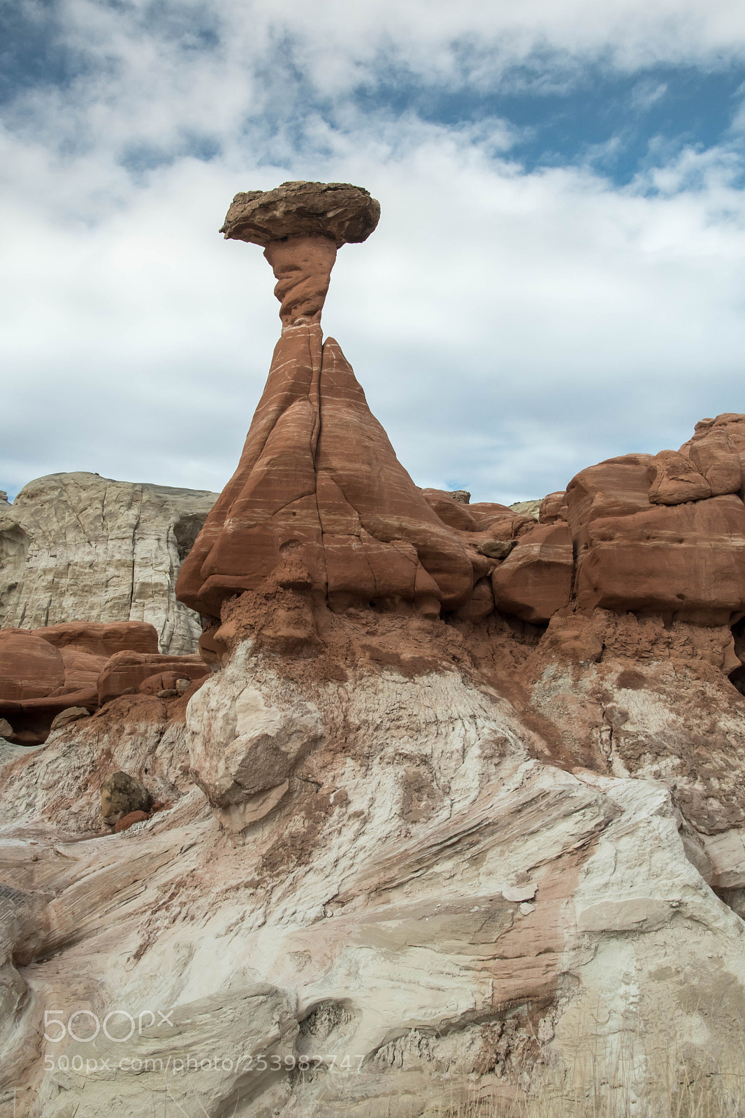 Nikon D5500 sample photo. Toadstool photography