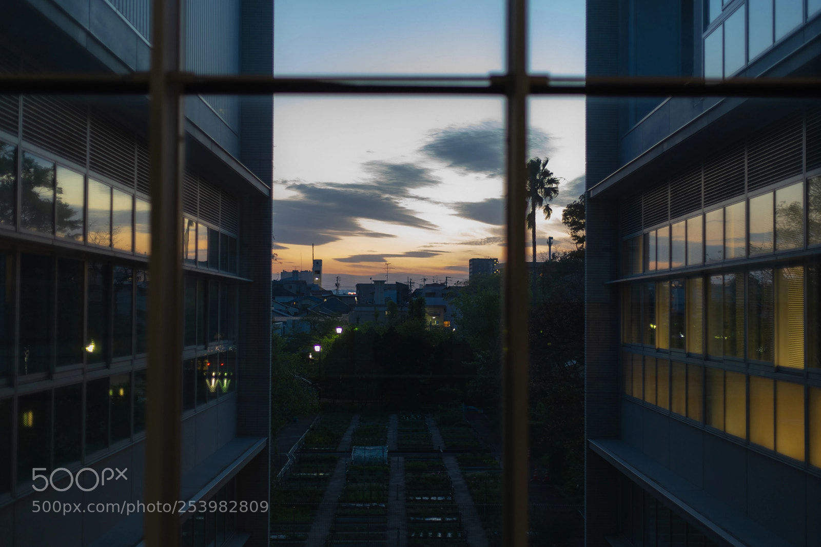 Sony a7 II sample photo. Sunset photography