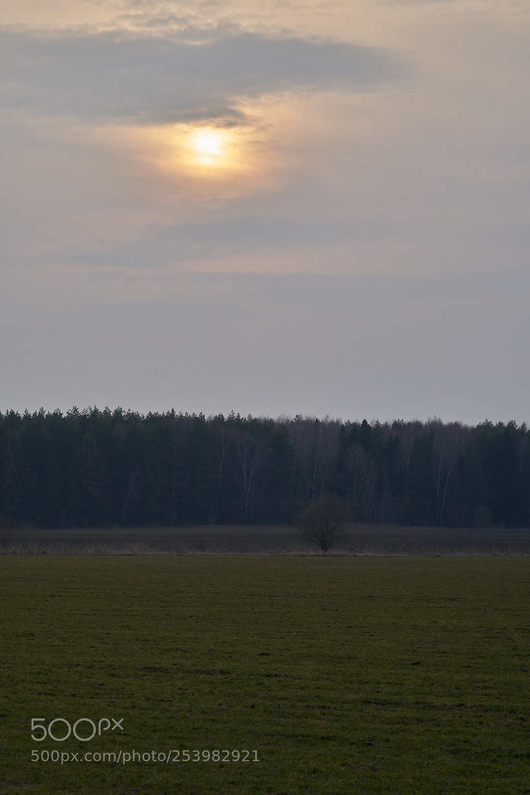 Sony a99 II sample photo. В поле photography