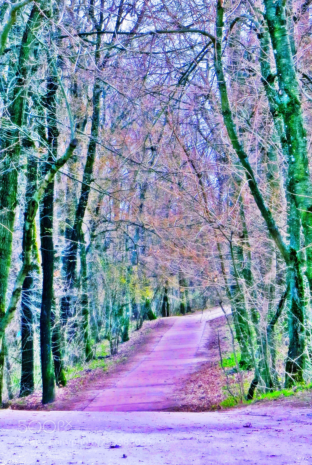 Canon PowerShot SX50 HS sample photo. Fairy road photography