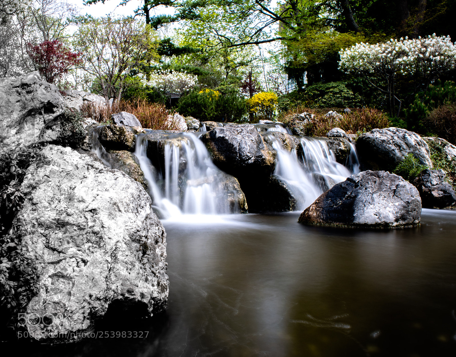 Nikon D3300 sample photo. Setagayapark vienna photography