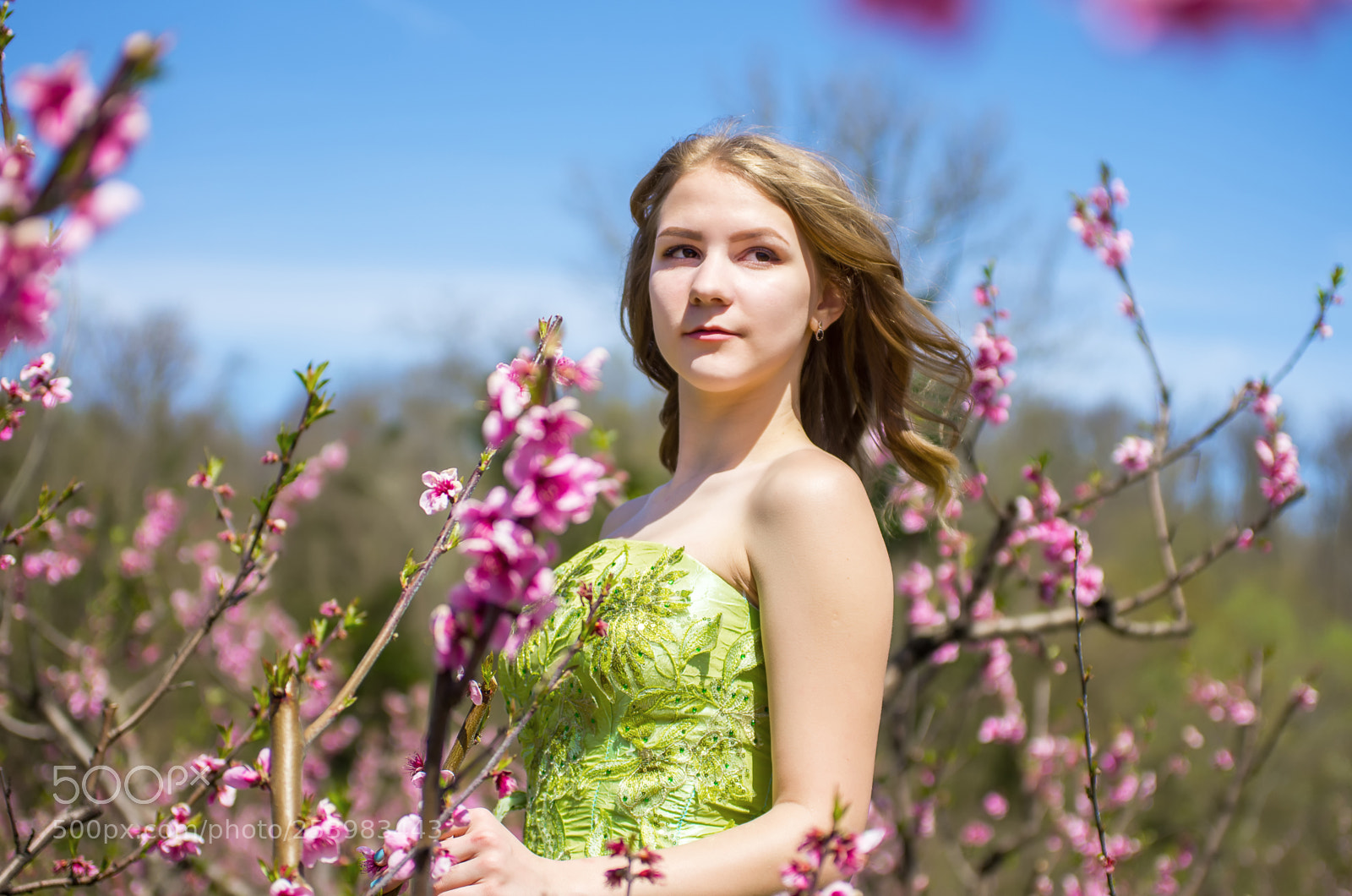 Pentax K-5 sample photo. Dasha and the blooming photography