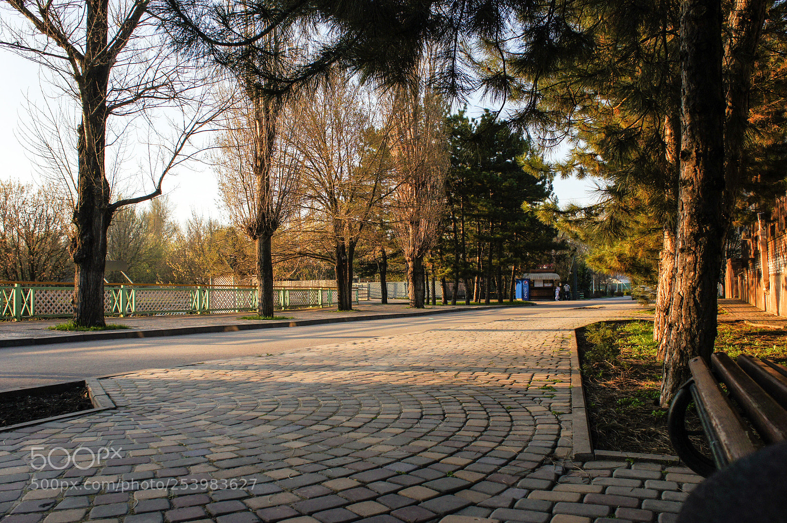 Sony Alpha NEX-5 sample photo. Untitled photography