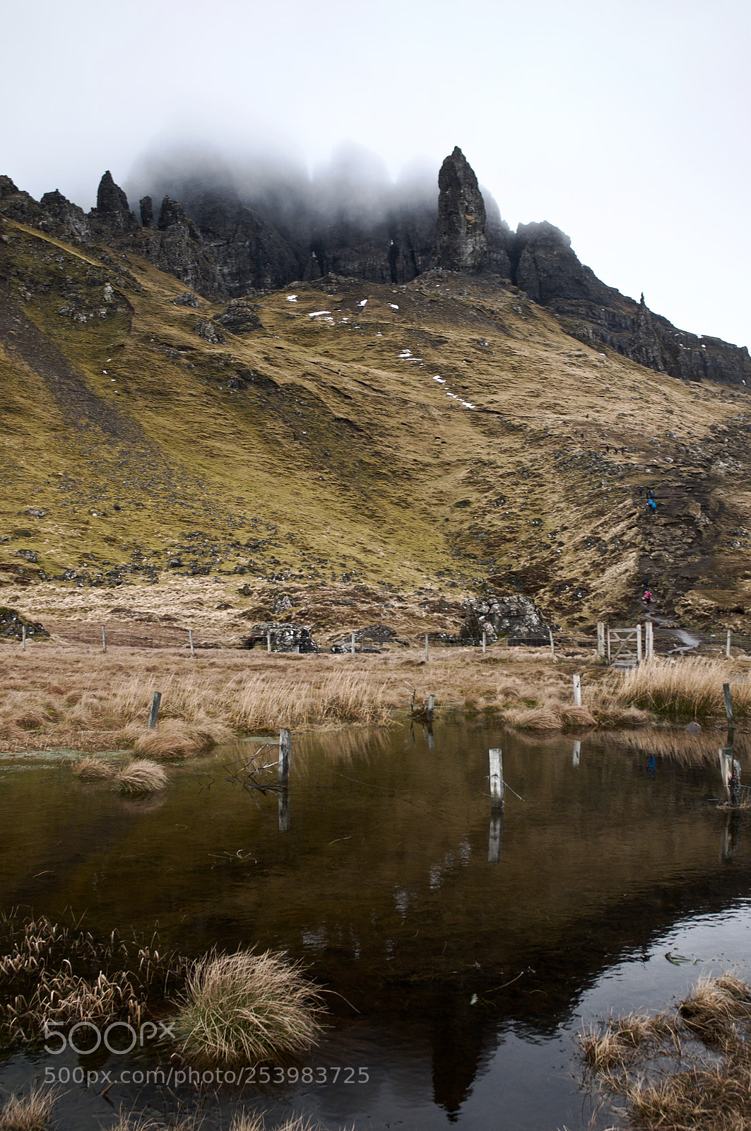Nikon D300 sample photo. Up towards the storr photography