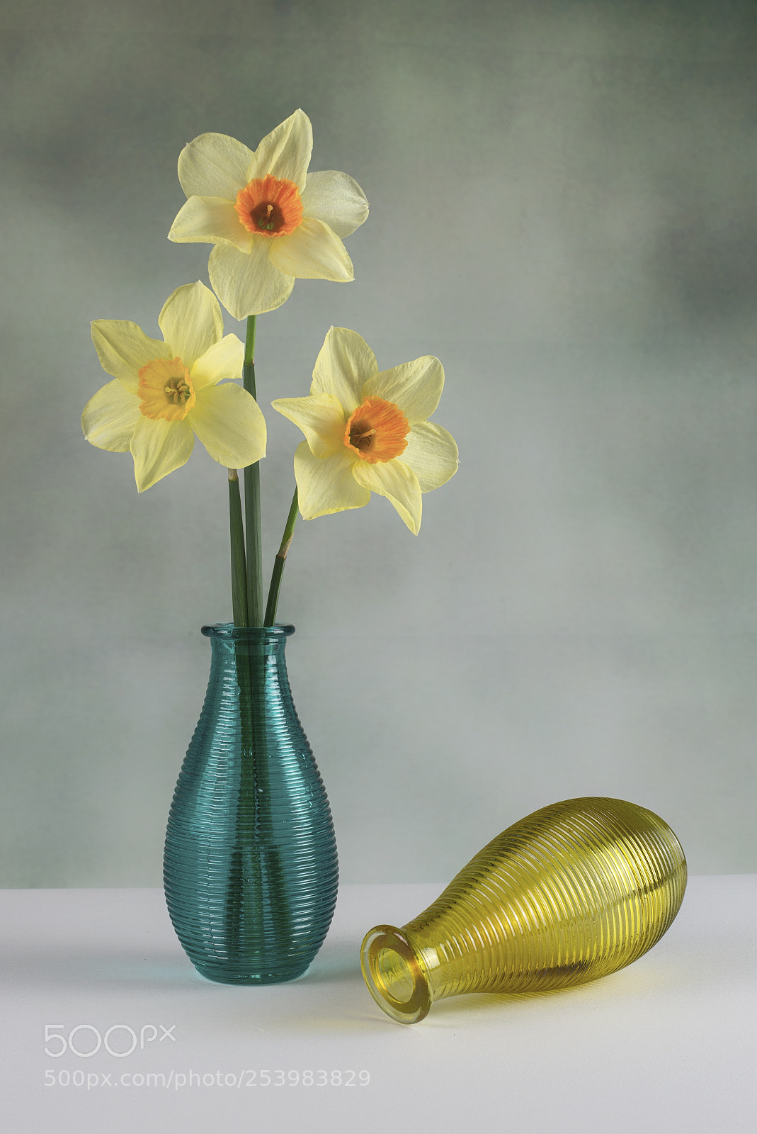 Nikon D600 sample photo. Jonquilles photography