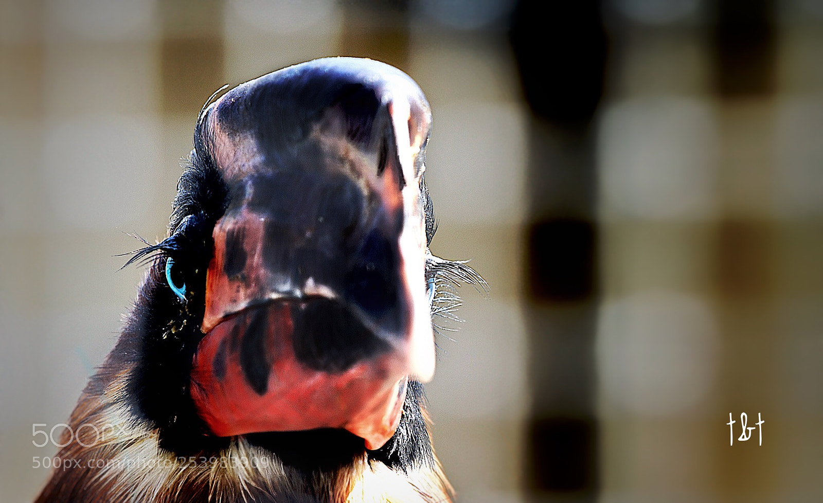 Canon EOS 7D sample photo. Untitled photography