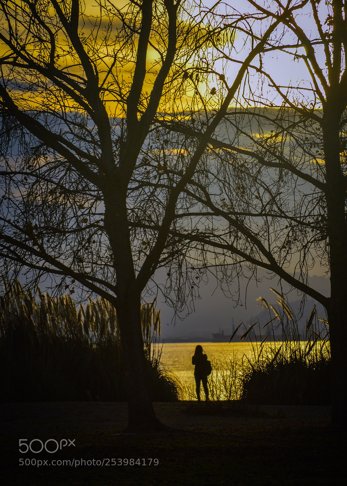 Nikon D3200 sample photo. A moment in time photography