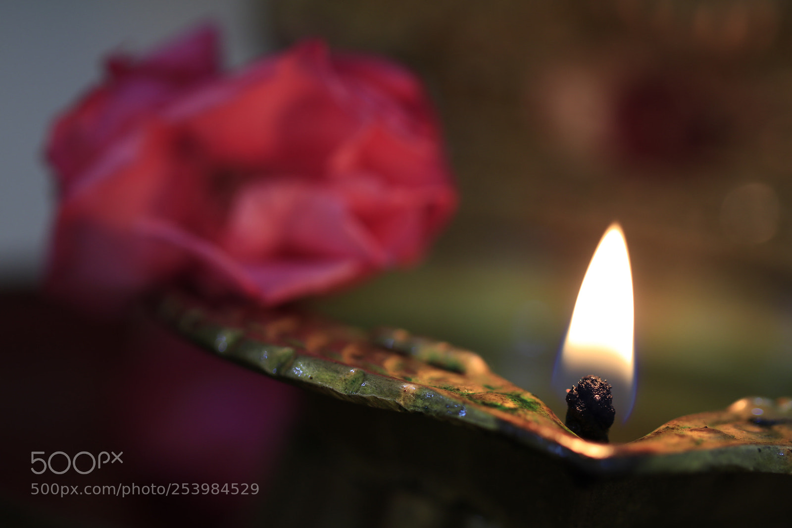 Canon EOS 80D sample photo. Light photography