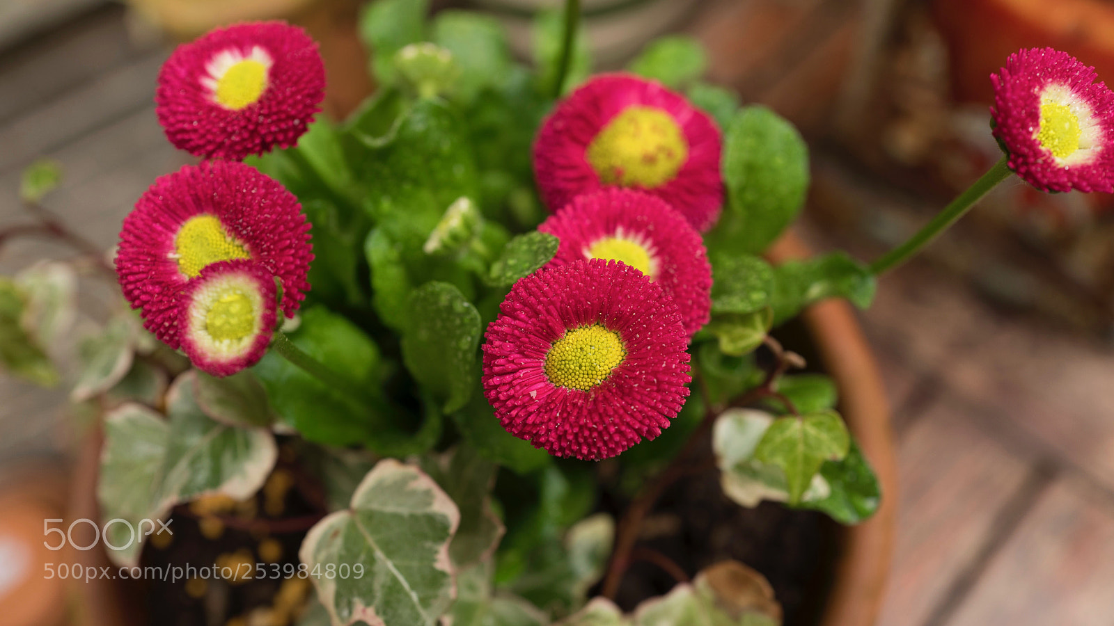 Leica Q (Typ 116) sample photo. L photography
