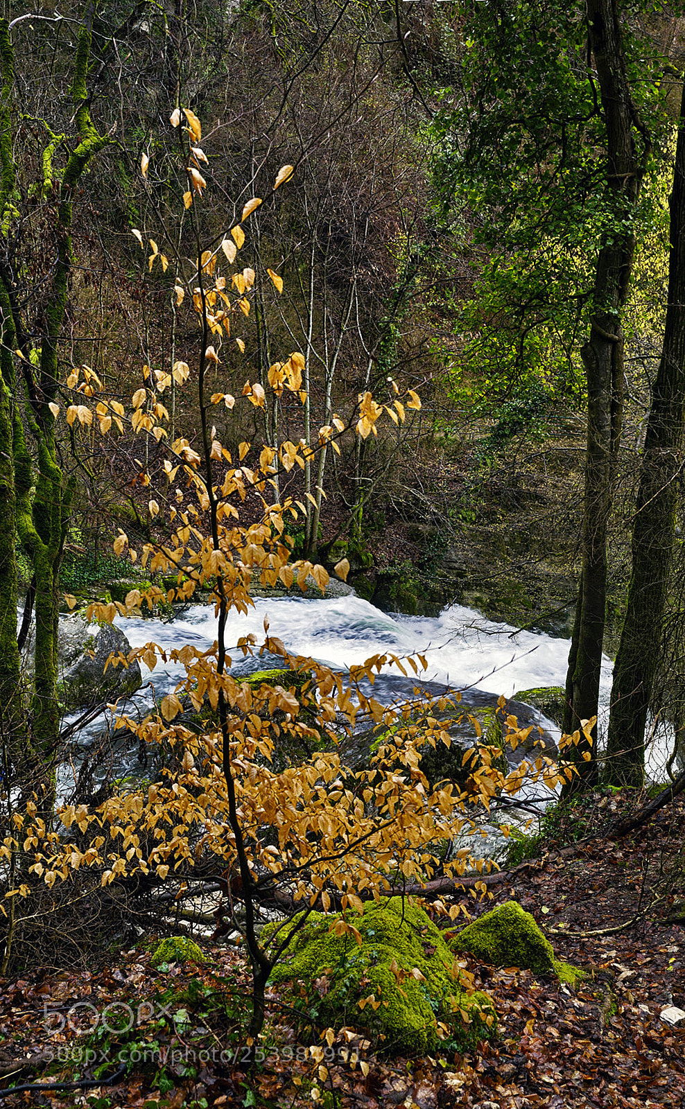 Sony ILCA-77M2 sample photo. On the edge photography