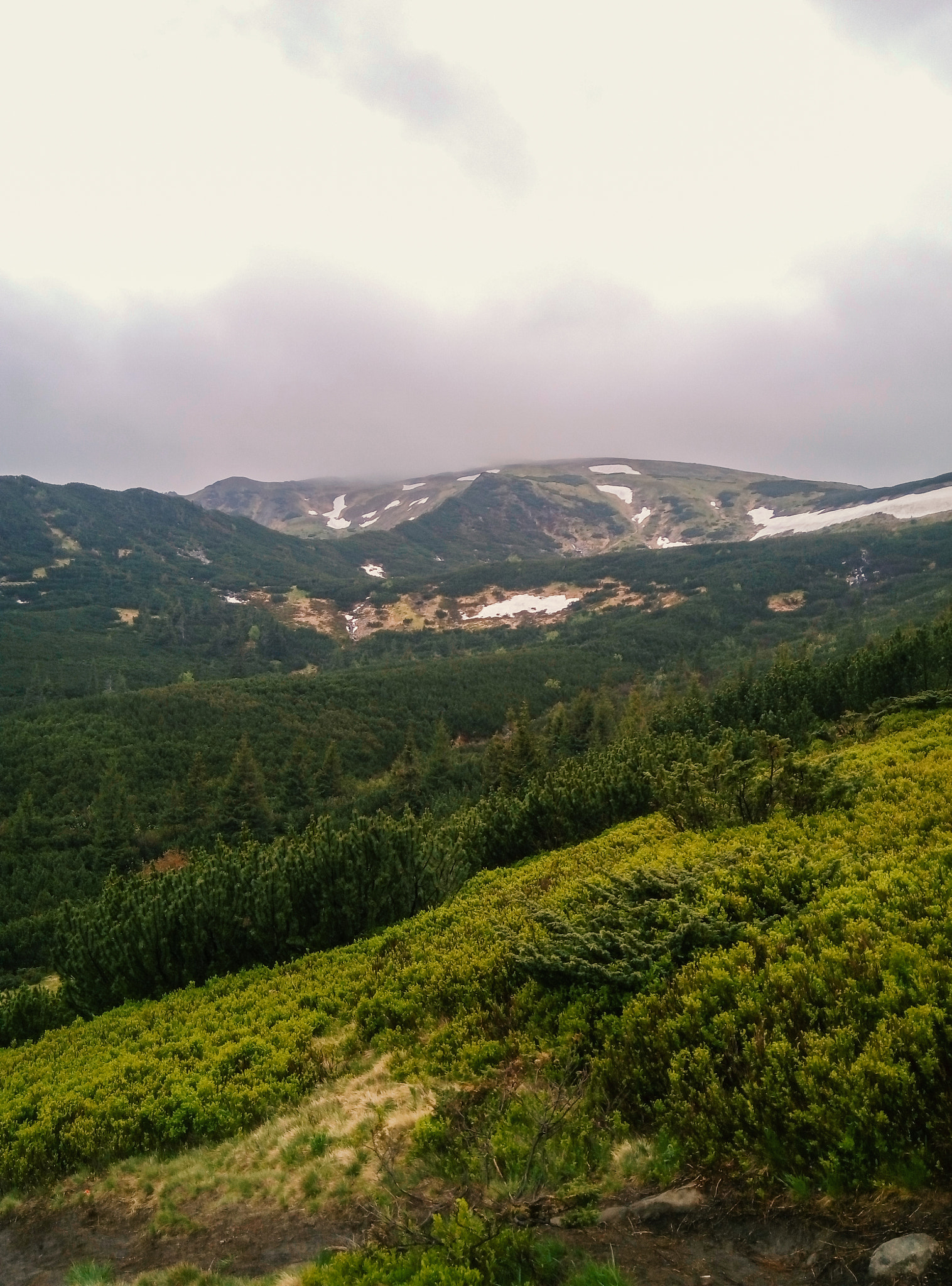 Meizu m2 sample photo. Leaving nesamovyte lake photography