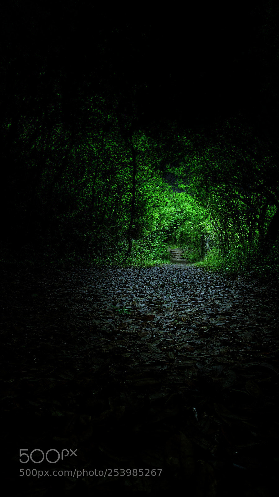 Sony Cyber-shot DSC-HX90V sample photo. Trail photography
