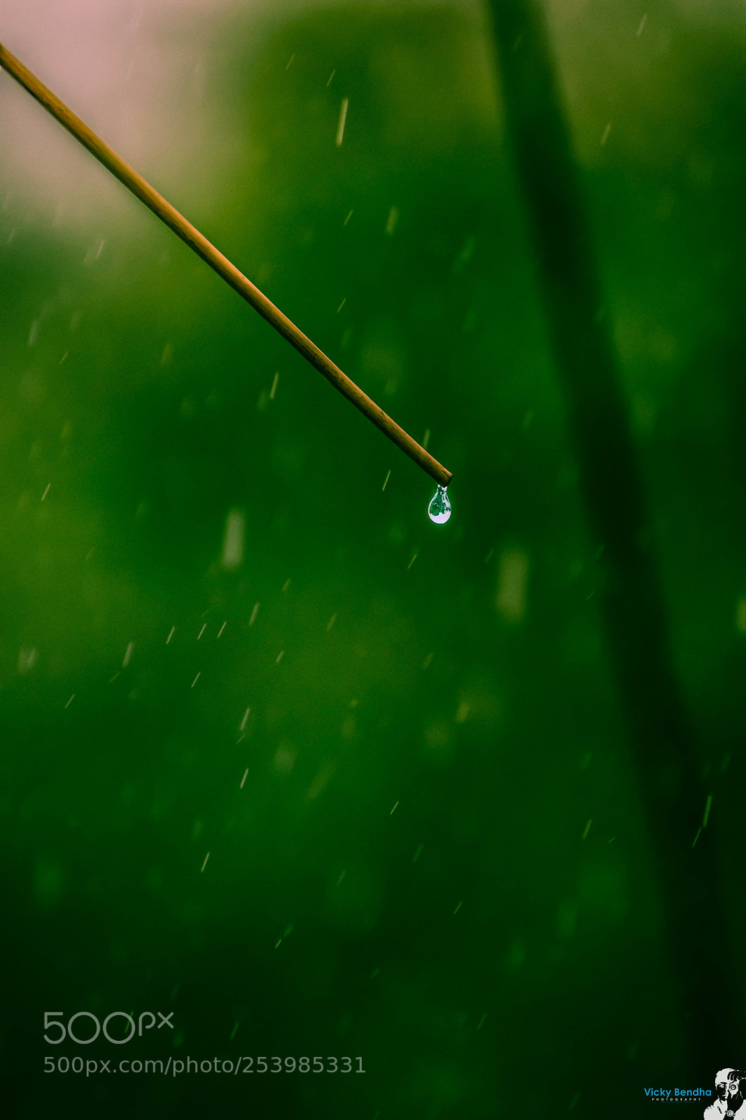 Nikon D5300 sample photo. Waterdrop photography