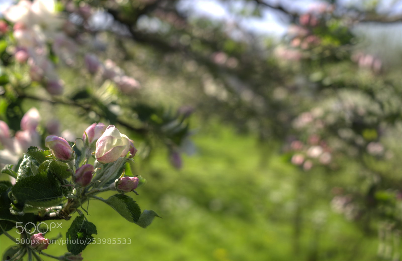 Sony a6000 sample photo. Zob karllsruhe, aus'm flixbus photography