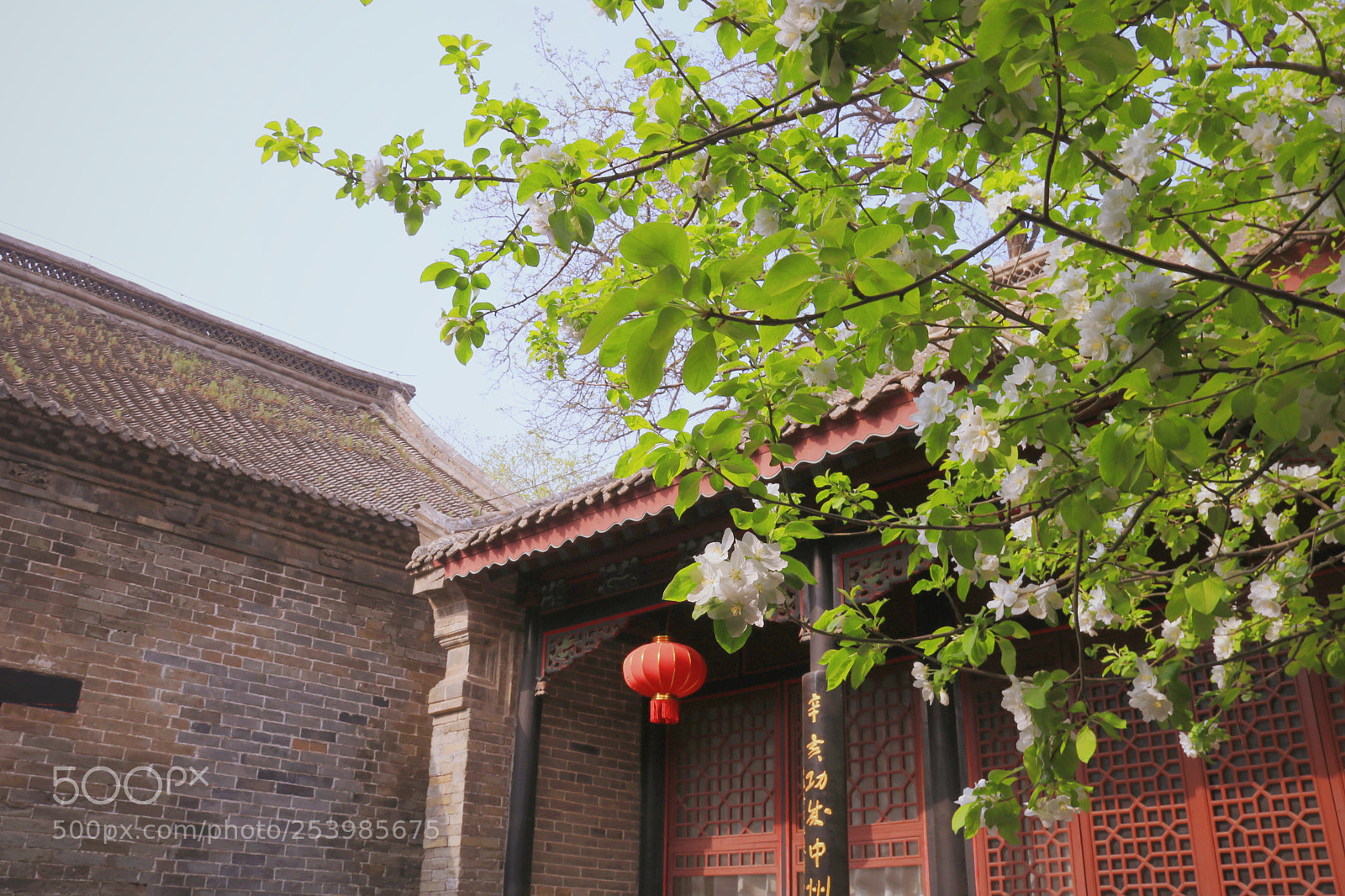 Canon EOS 760D (EOS Rebel T6s / EOS 8000D) sample photo. Untitled photography